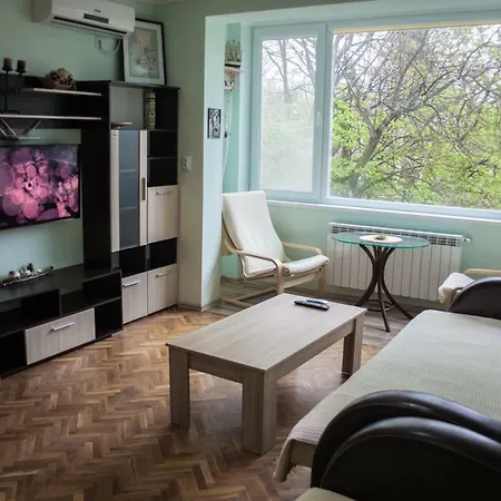 Apartment In Lazur Area *
